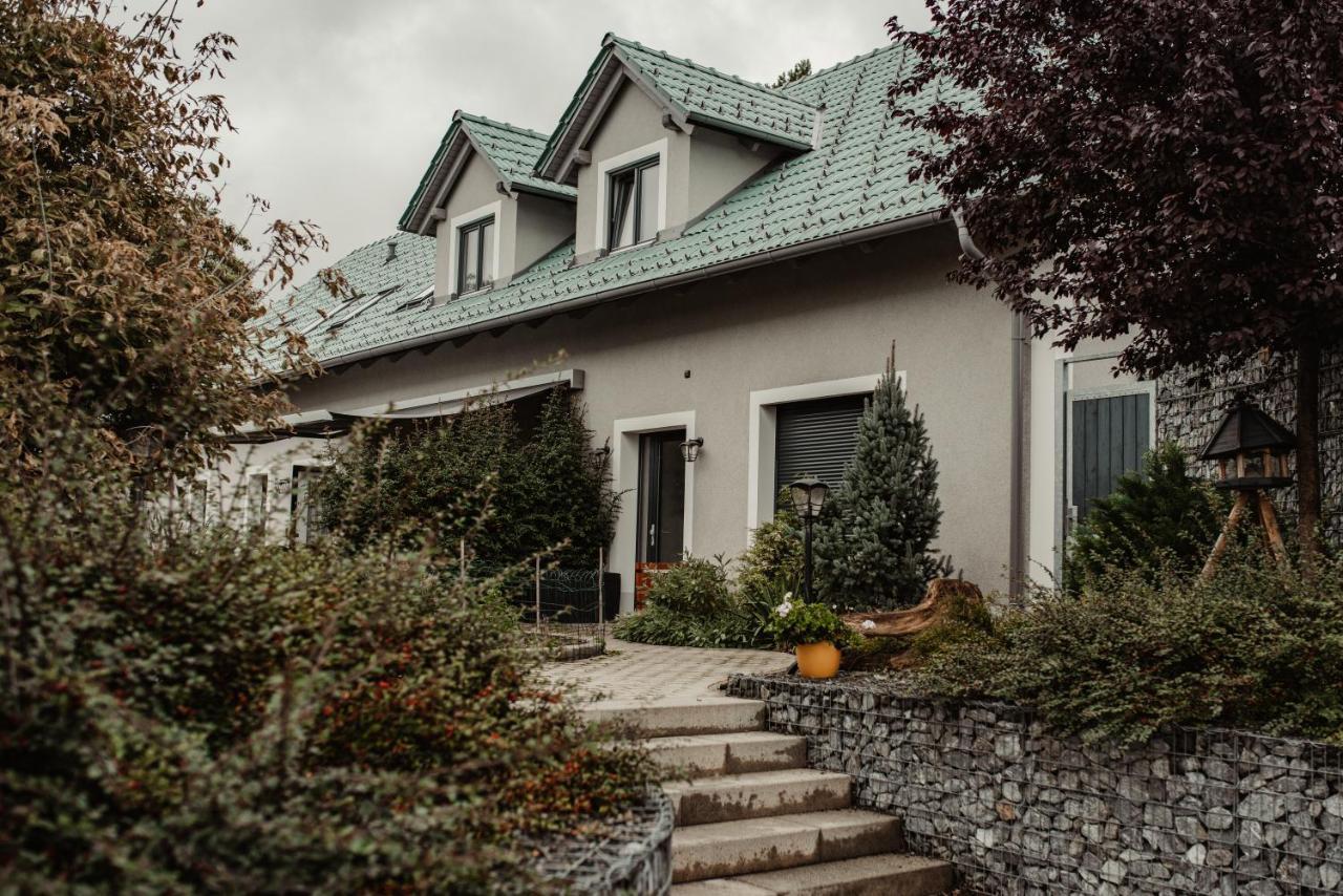 Penzion Merica Bor Exterior photo